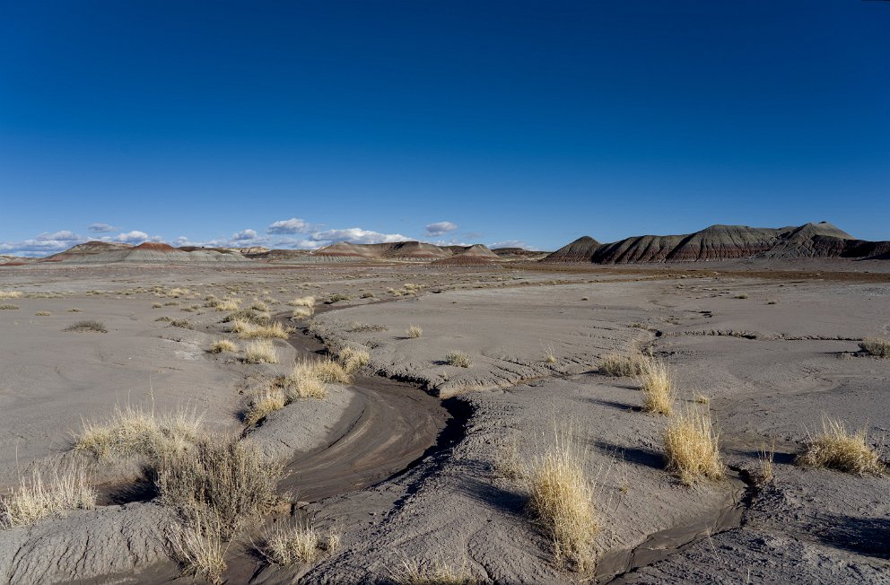 Petrified Forest