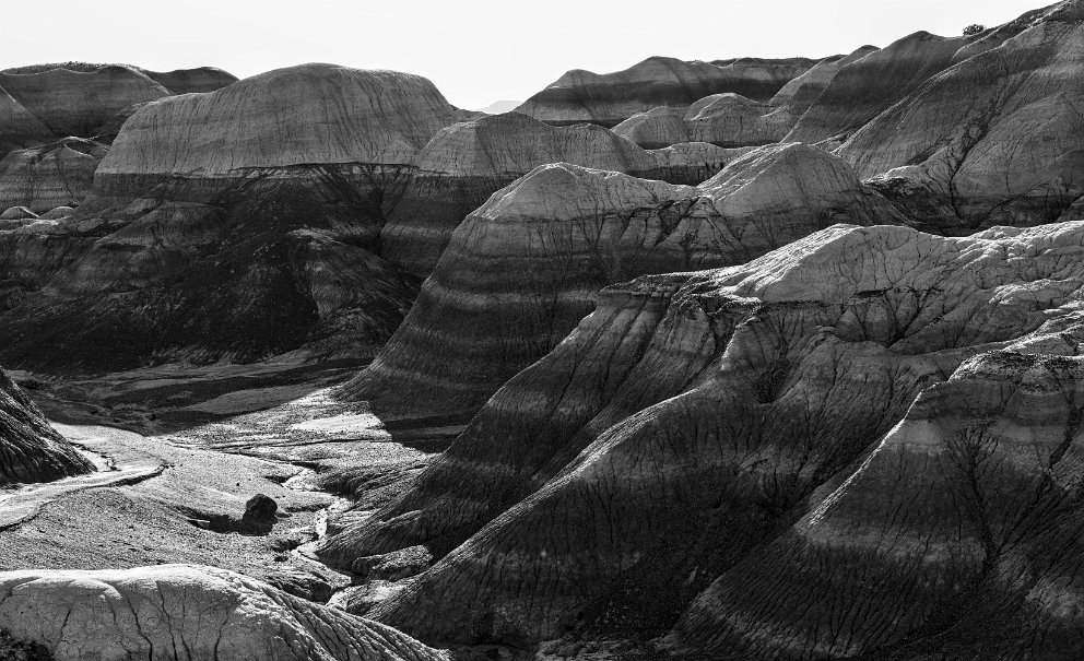 Petrified Forest Blue Mesa