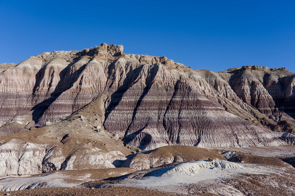 Petrified Forest Blue Mesa