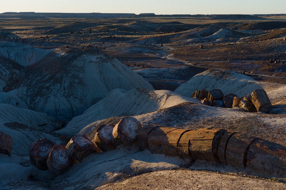 Petrified Forest