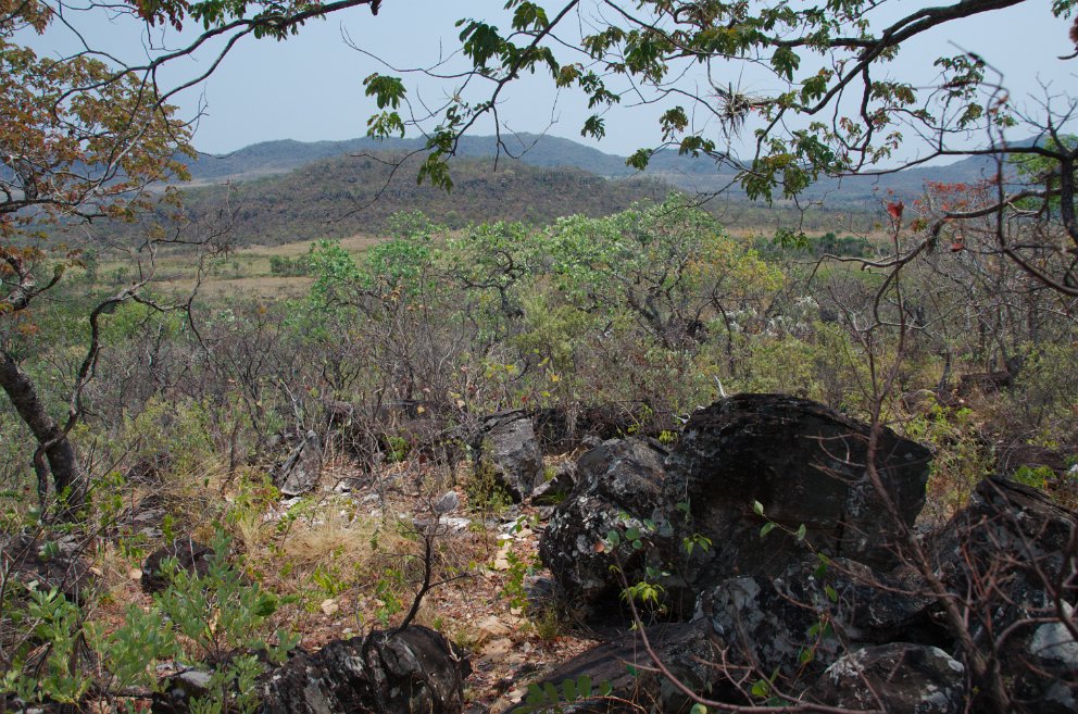 Cerrado