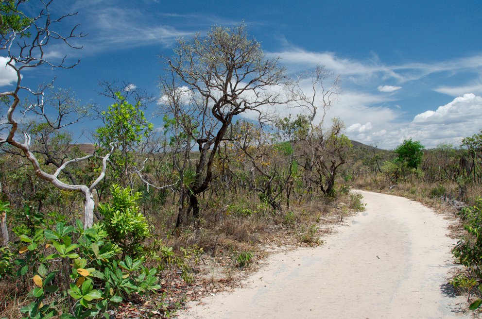 Dirt road