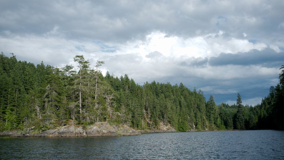 Saltwater lagoon in Squirrel Cove