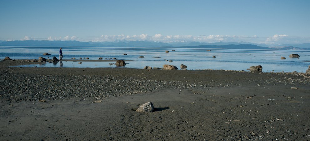 Low tide