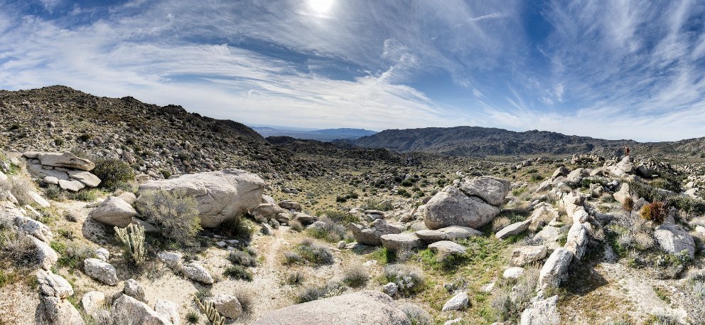 Culp Valley at Anza-Borrego