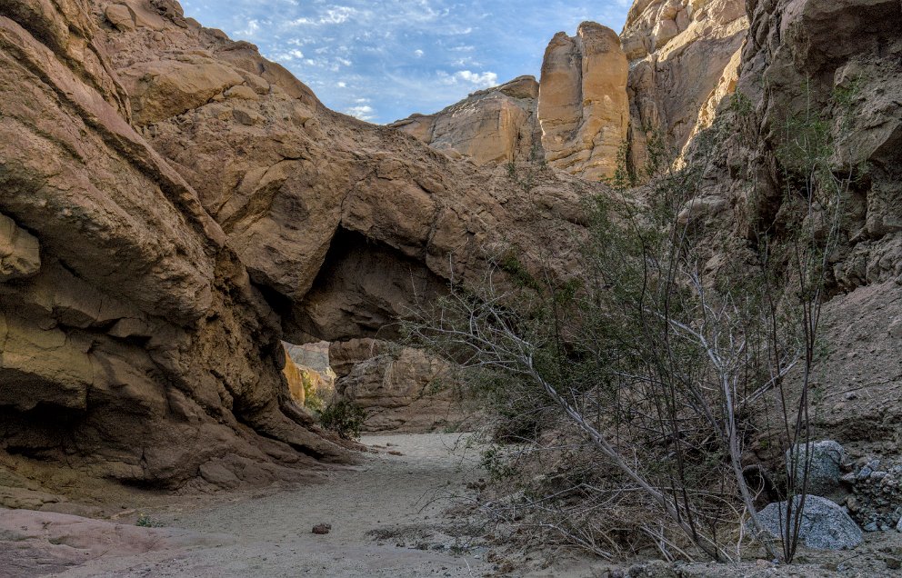 South Palm Wash at Anza-Borrego