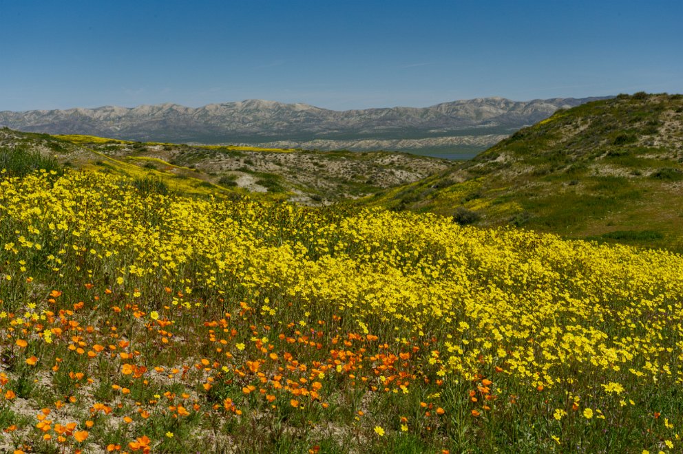 Carrizo Plain