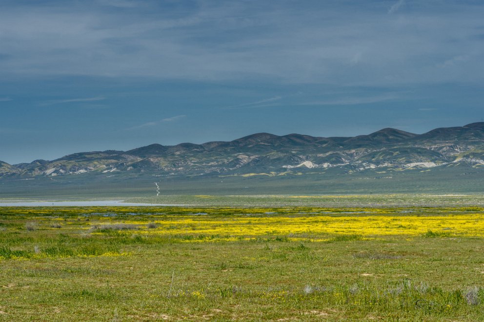 Soda Lake at Carrizo Plain