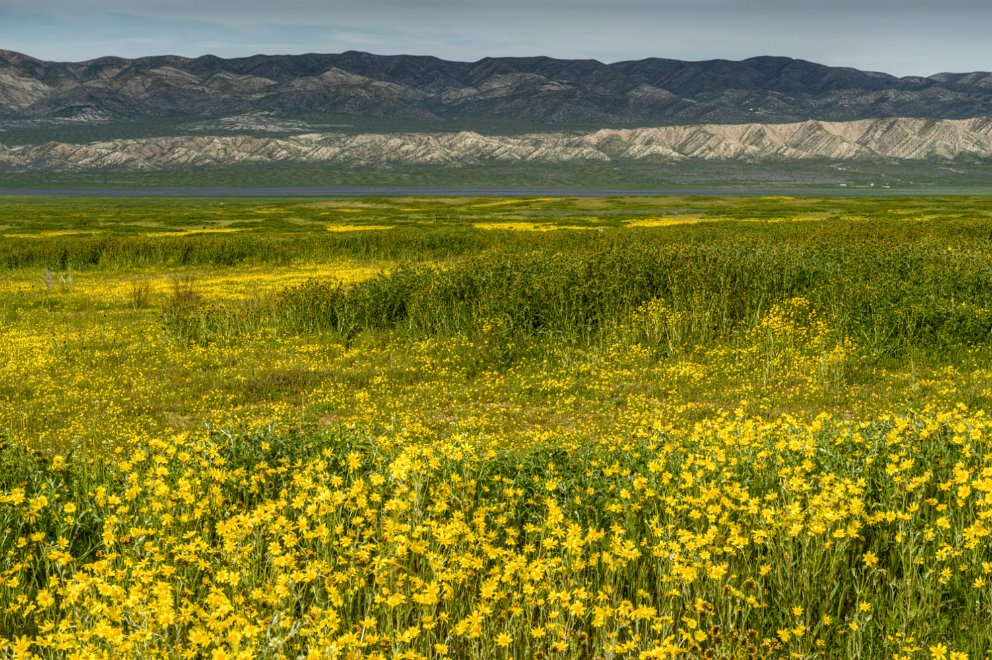 Carrizo Plain