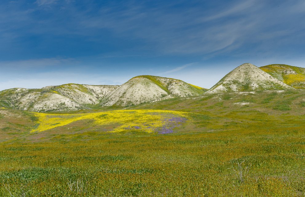 Carrizo Plain