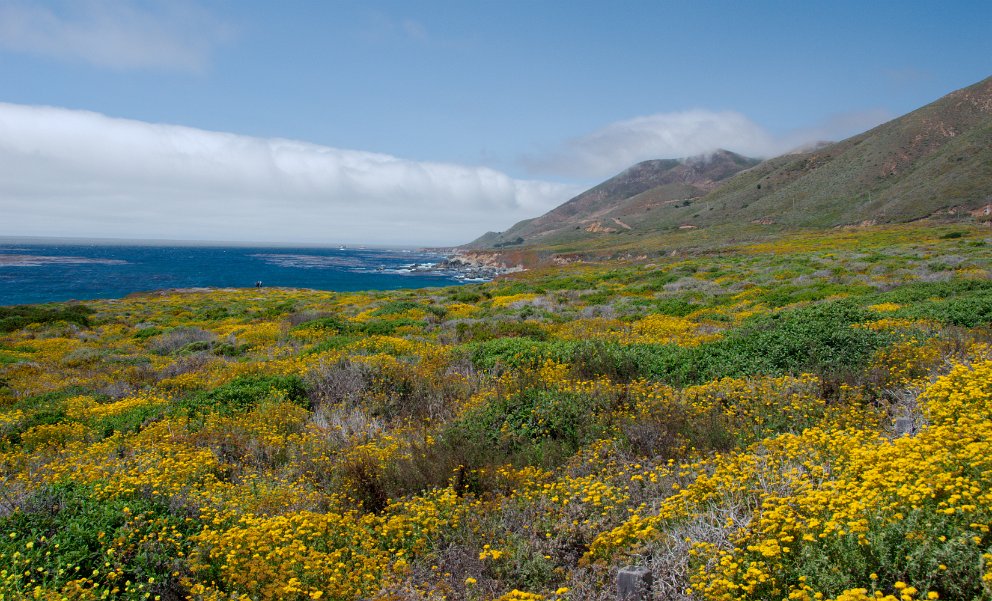 Big Sur