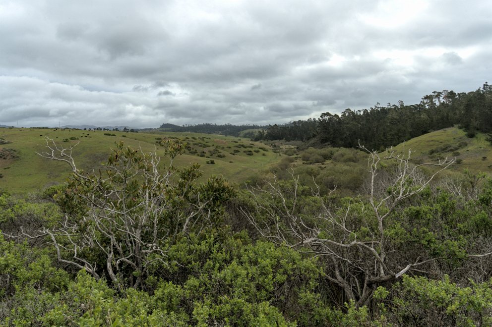 San Simeon State Park