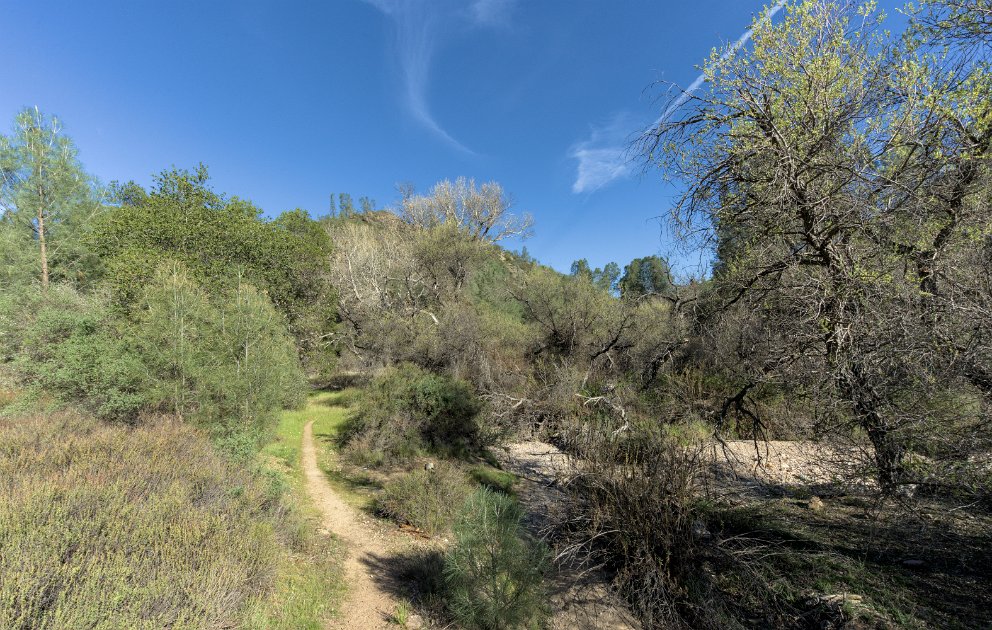 Pinnacles National Park