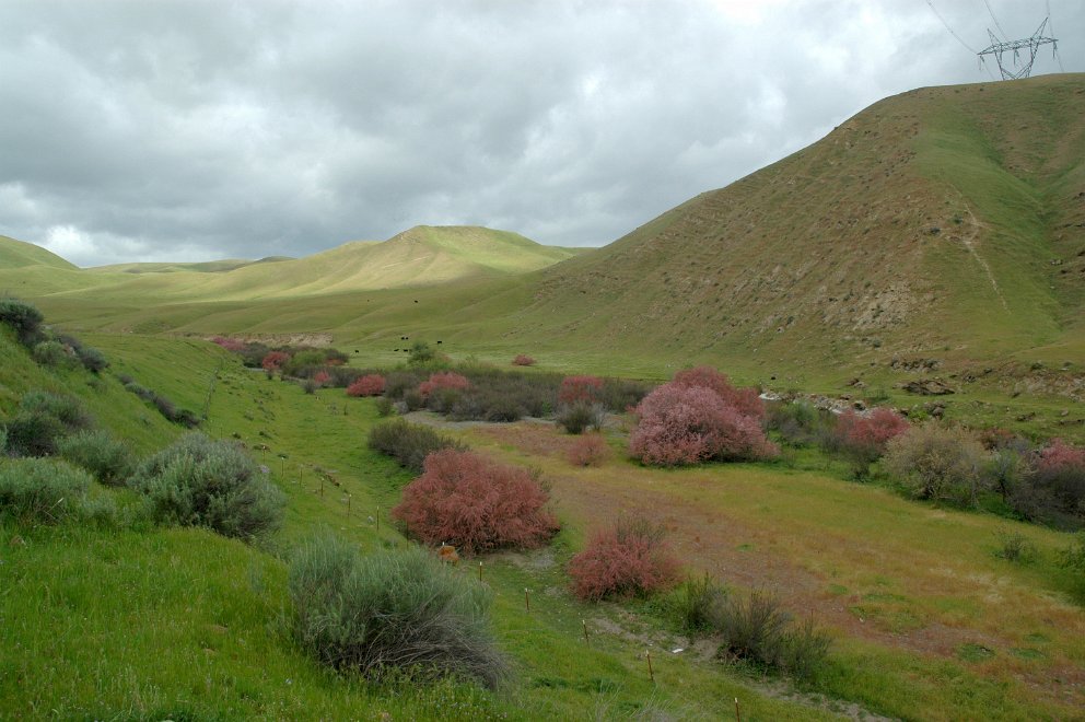 Path of the Padres