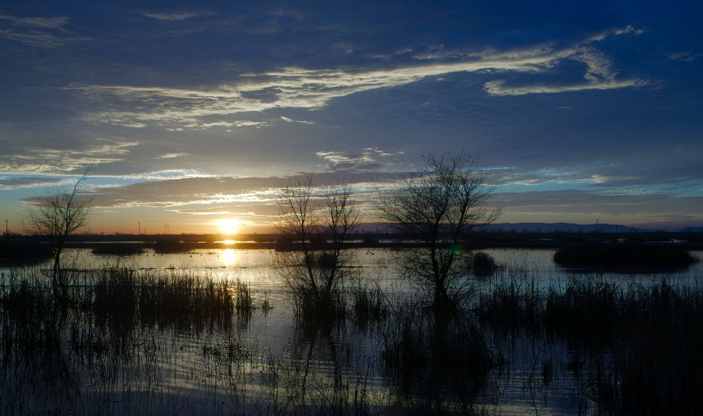 Yolo Bypass