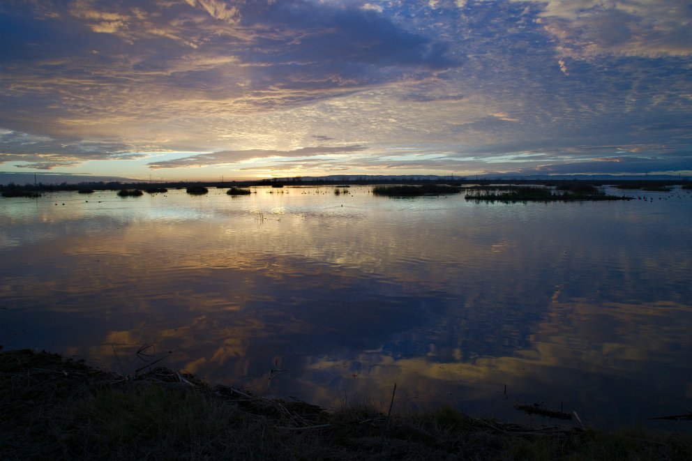 Yolo Bypass