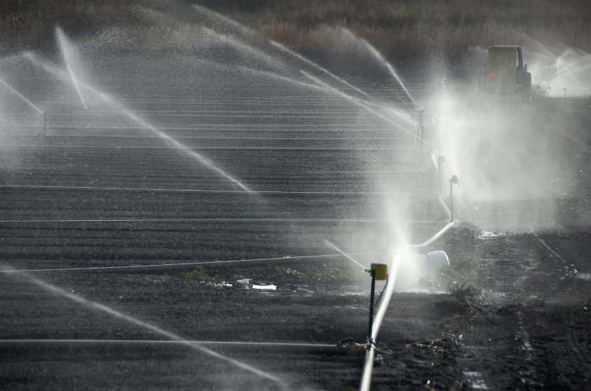 Spray irrigation