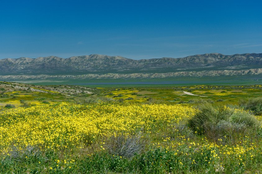 Carrizo Plain