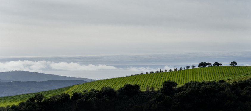 Carmel Valley