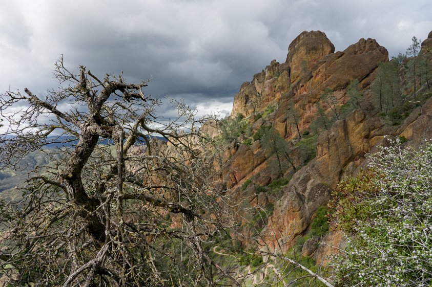 Juniper Canyon Trail