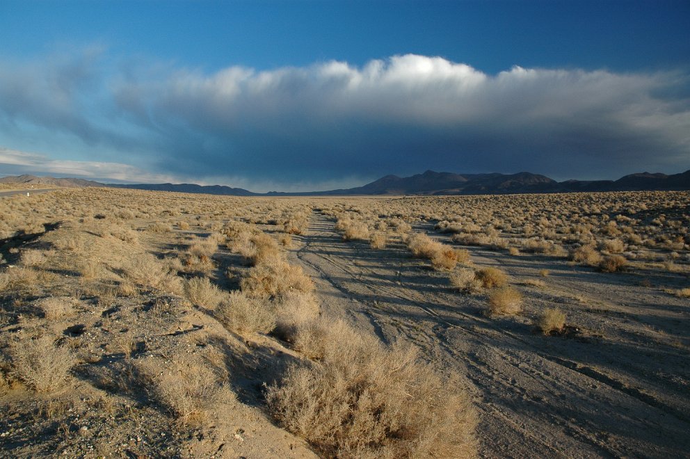 Panamint Springs