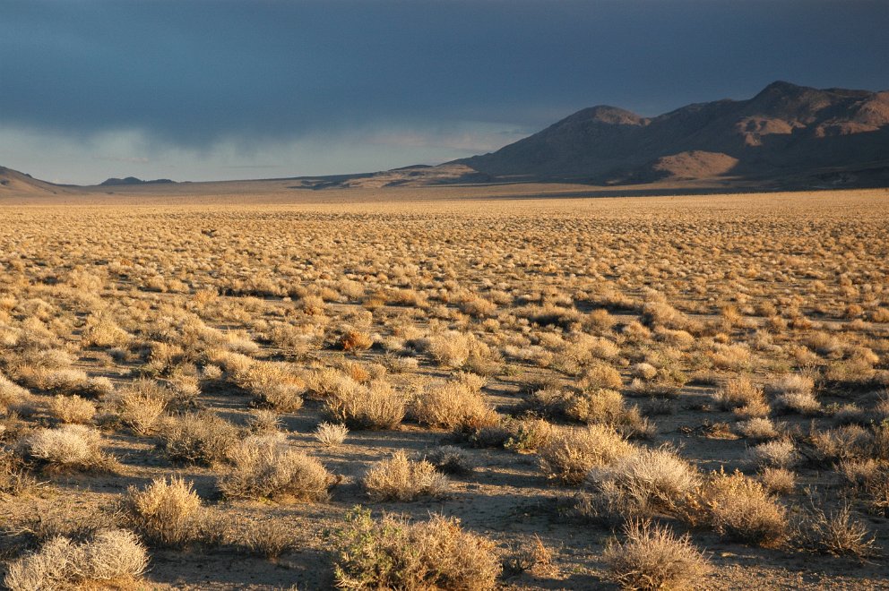 Panamint Springs