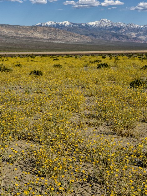 Panamint Valley