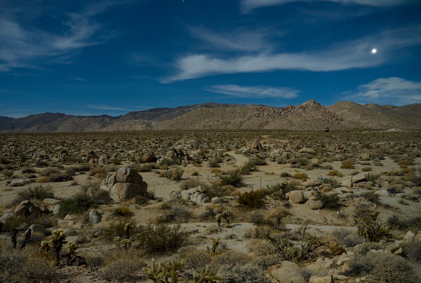 Moonlit desert