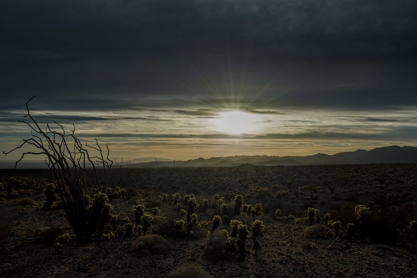 Anza-Borrego Desert