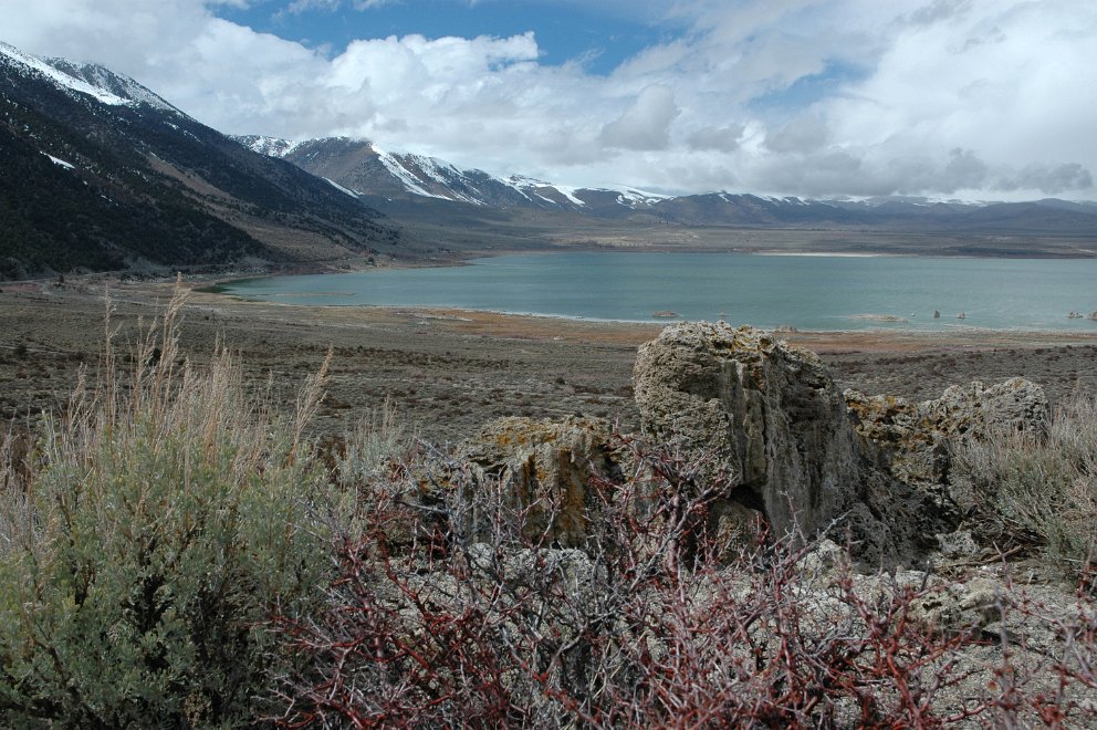 Mono Lake