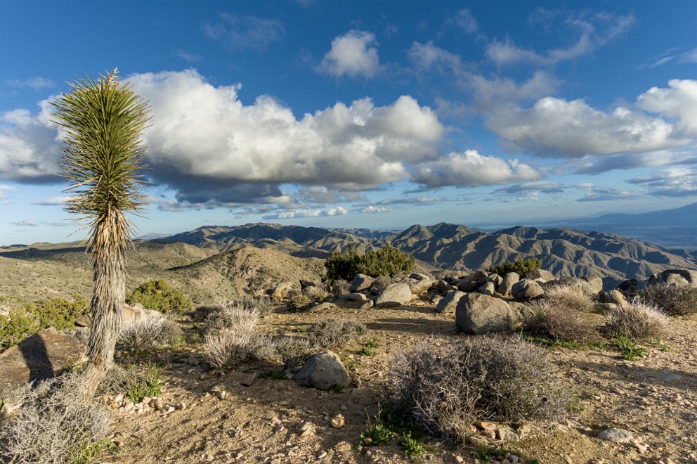 Keys View