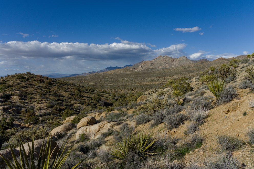 Mojave Desert