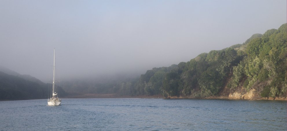 Tomales Bay in all its glory