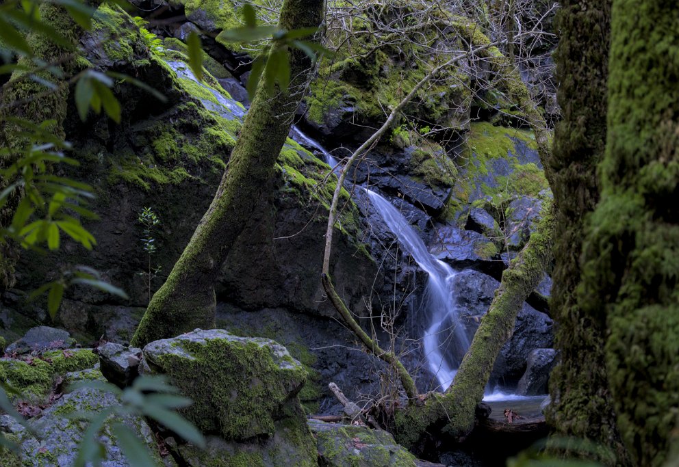 Cataract Trail, Marin County