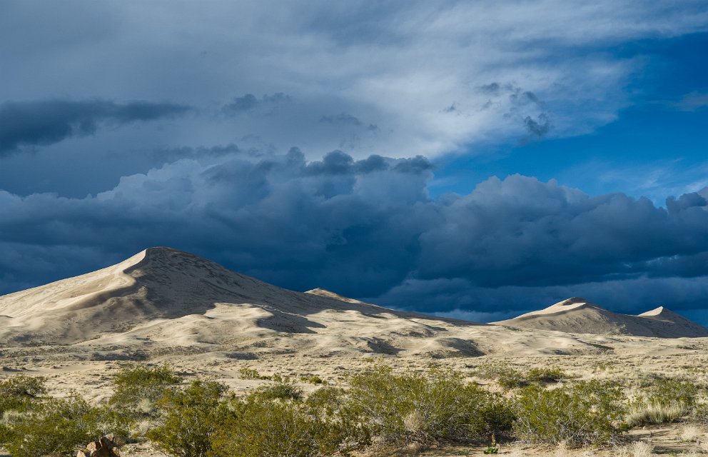 Kelso Dunes