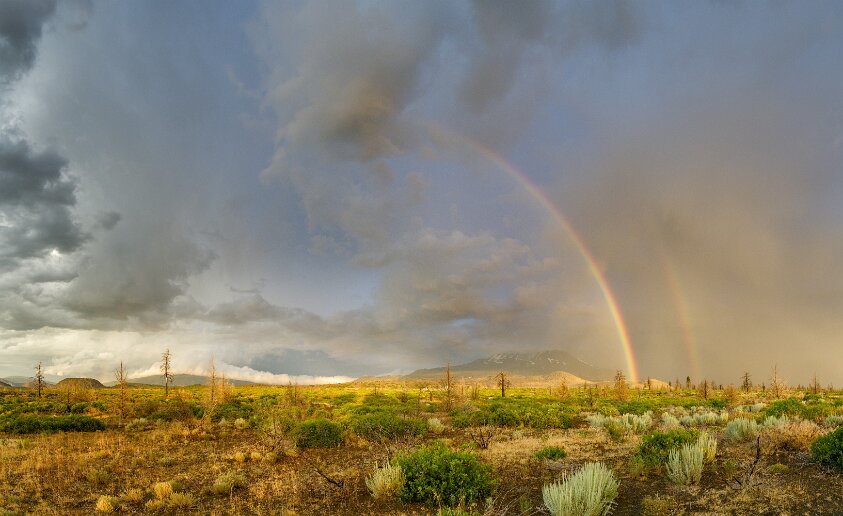 Mount Shasta covered in gold