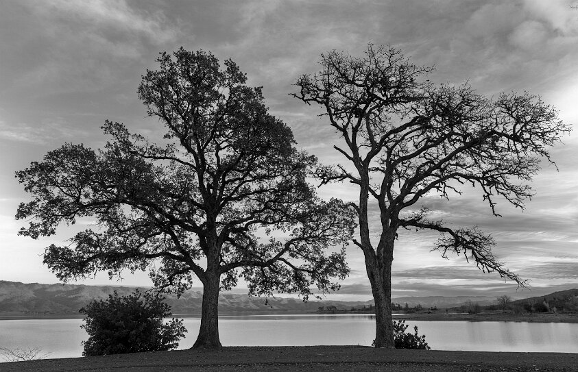 Berryessa Lake