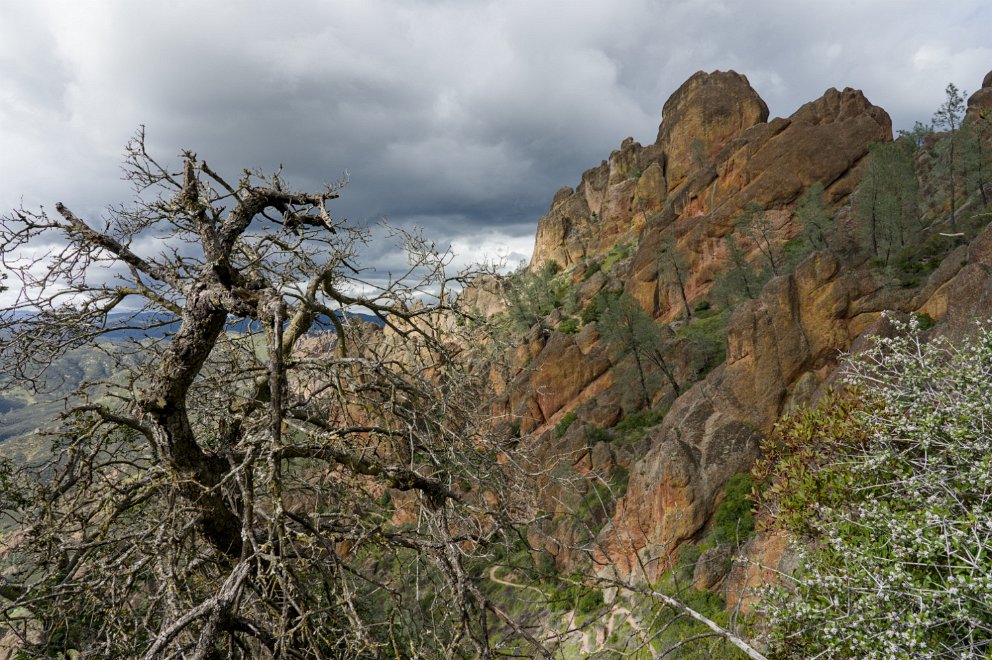 Juniper Canyon Trail