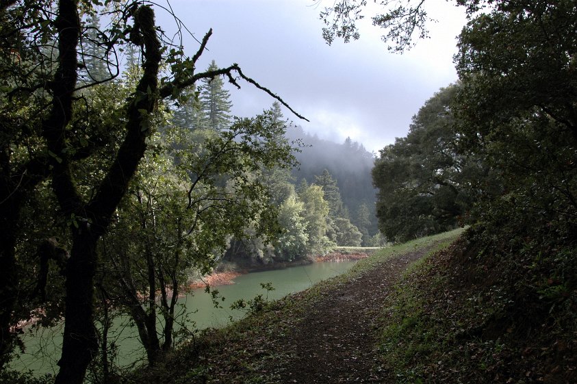 Russian Ridge Trail