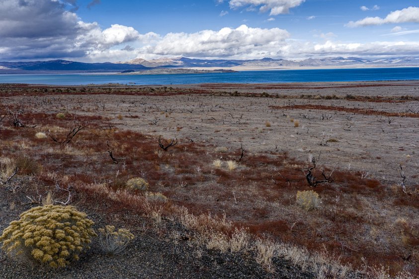 Mono Lake