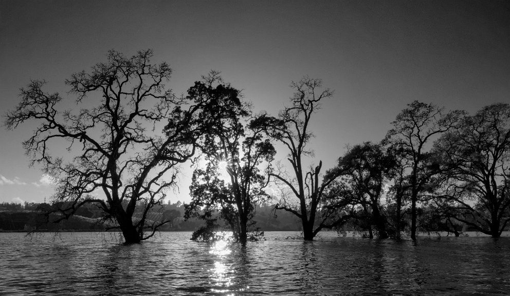 Laguna Santa Rosa