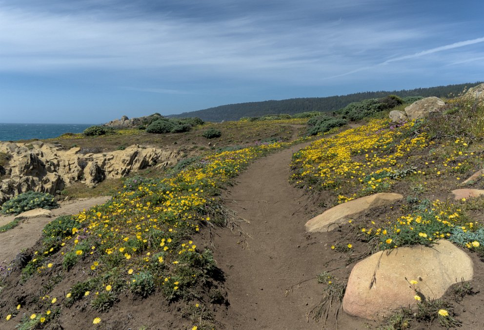 Salt Point State Park