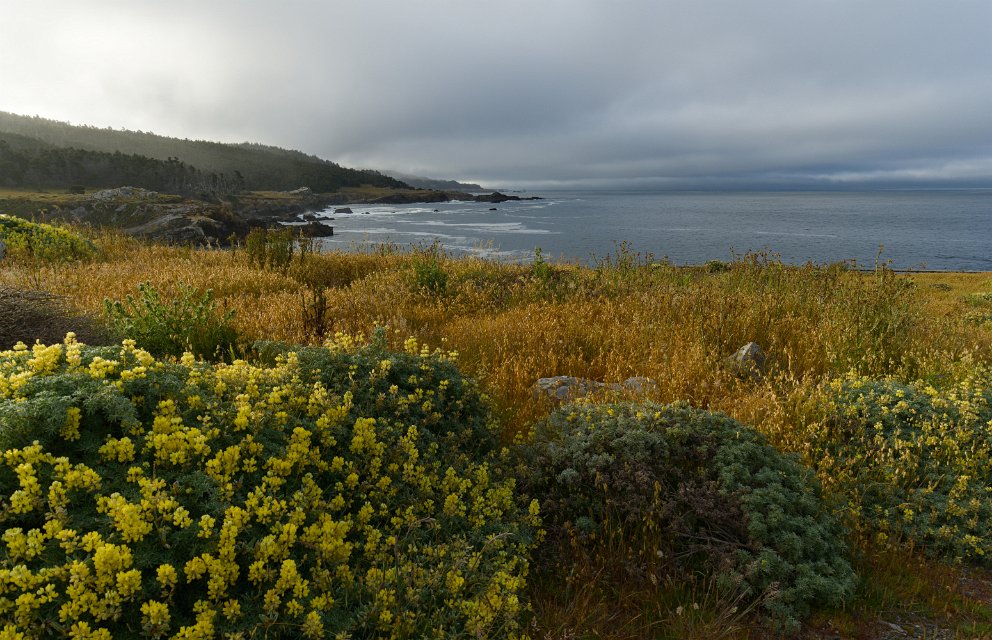 Salt Point State Park