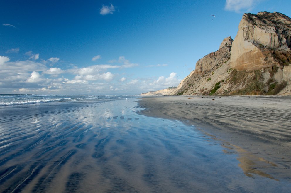 Torrey Pines State Beach