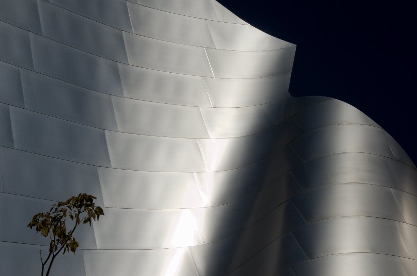 Walt Disney Concert Hall