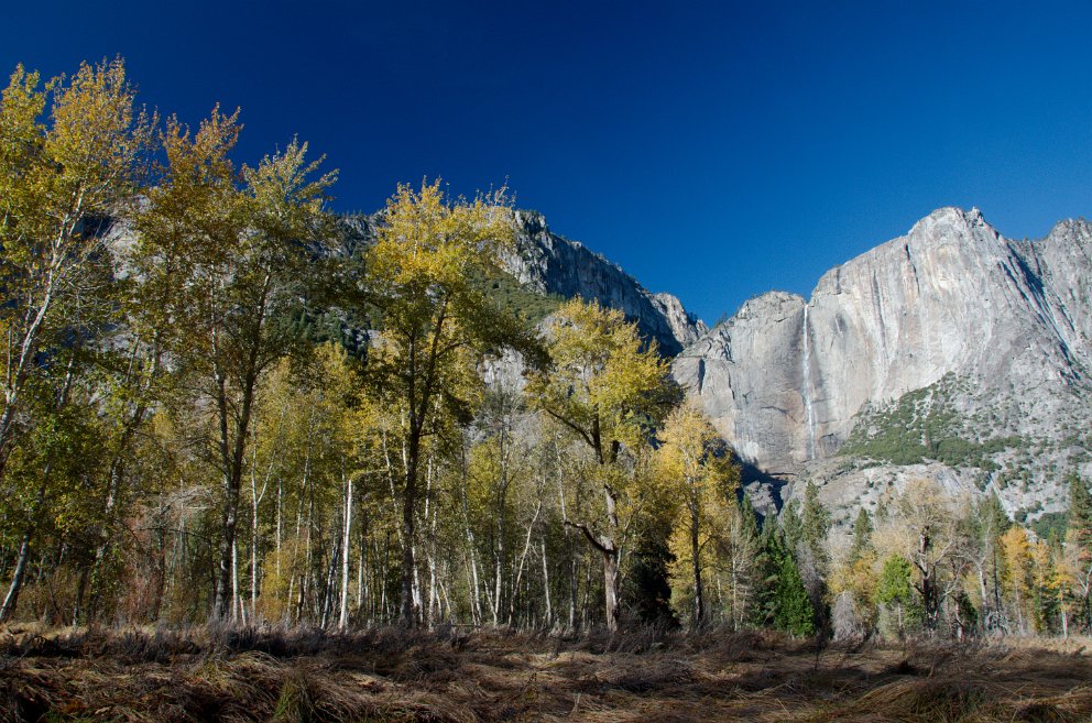 Yosemite Fall