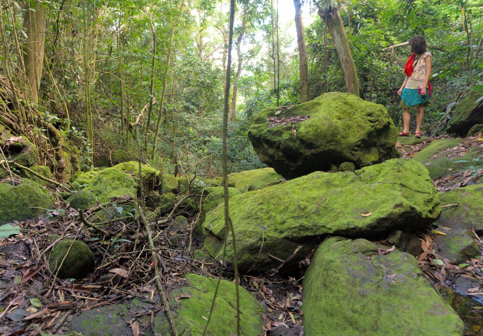 Mount Obama National Park