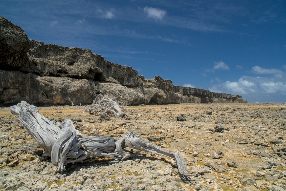 Washington-Slagbaai National Park