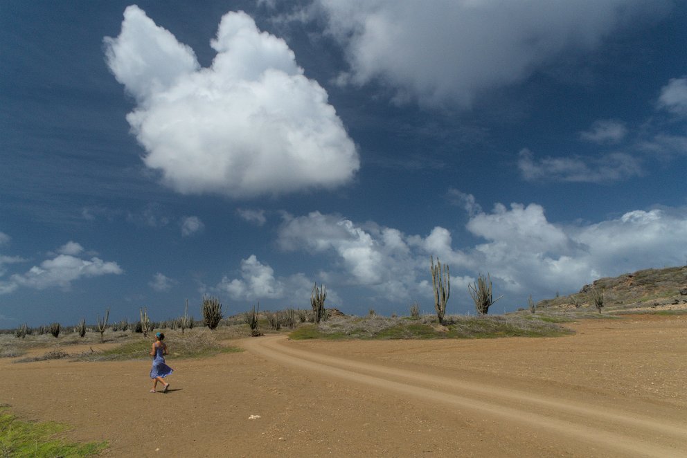 Washington-Slagbaai National Park