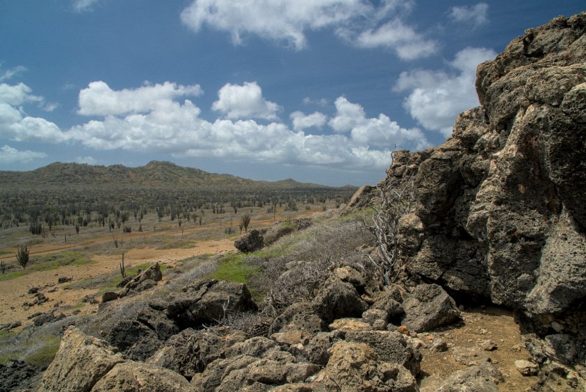 Washington-Slagbaai National Park